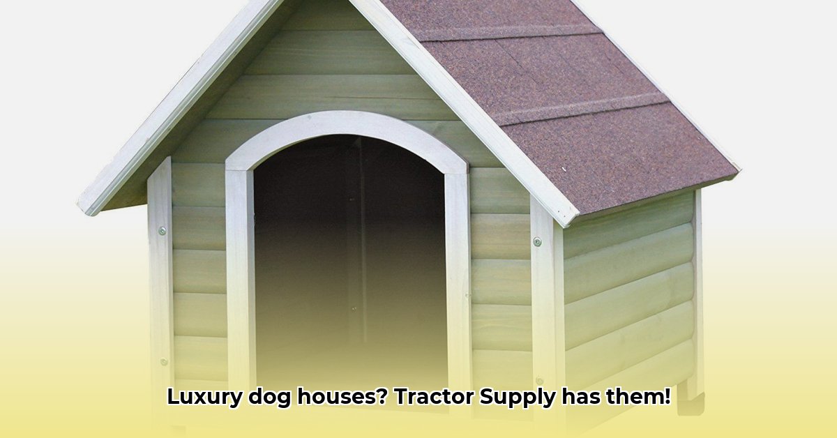large-dog-houses-at-tractor-supply